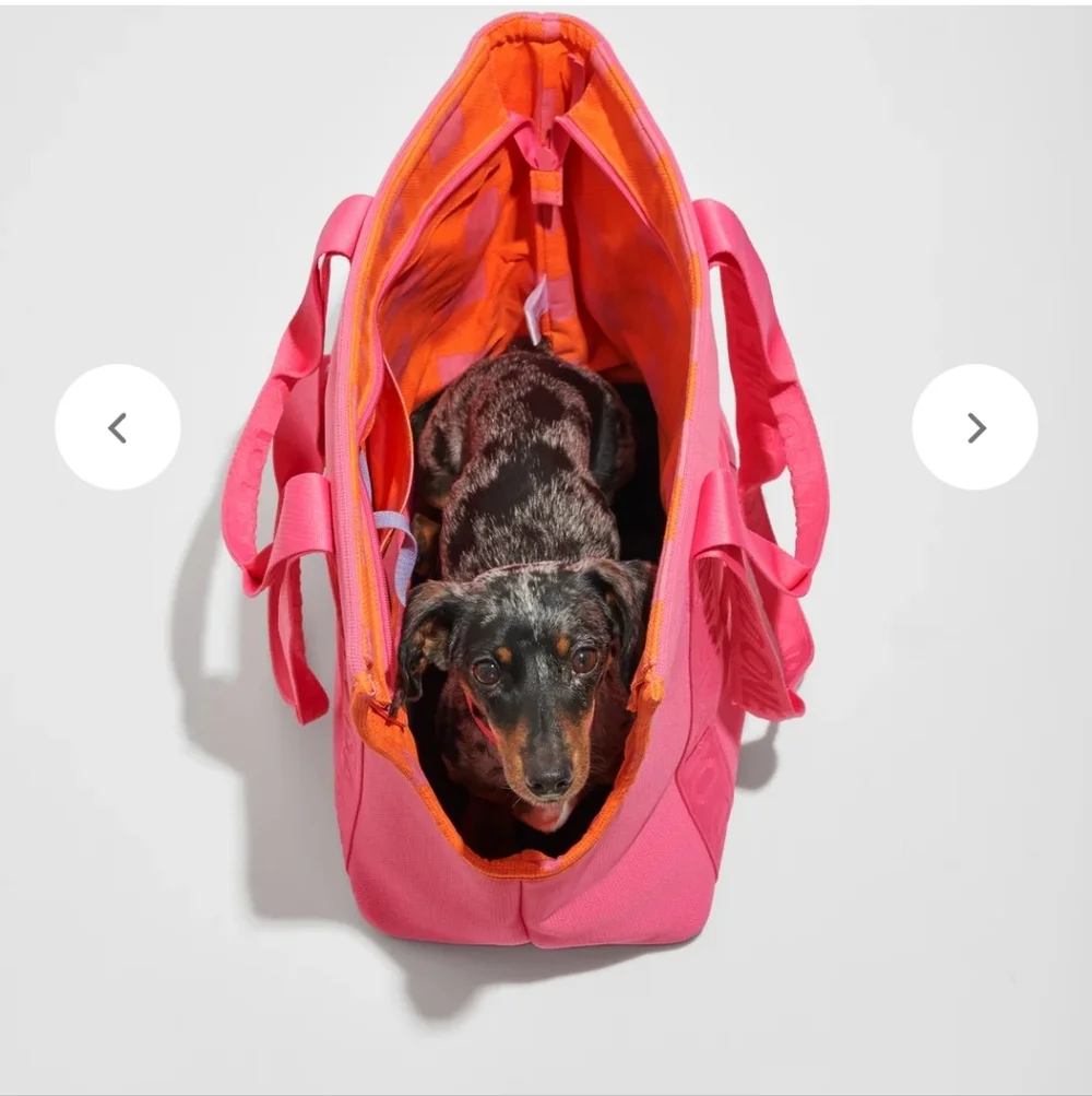 Wild One × Issac Mizrahi Everyday Carrier, Limited Edition In  Cosmopolitan Pink
